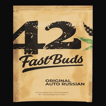 Original Auto Russian - Feminized - Fast Buds
