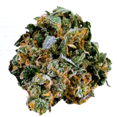 Terp Farmz - Original Cheerioz - Feminised