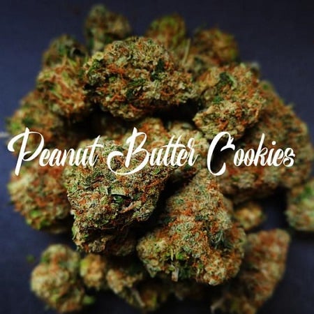 Peanut Butter Cookies - Feminized - Tastebudz