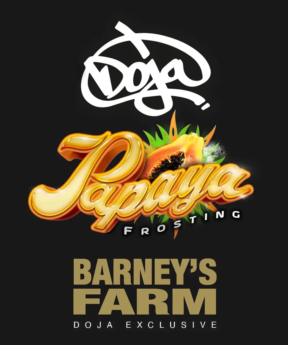 Barney's Farm Seeds -	Papaya Frosting Feminized