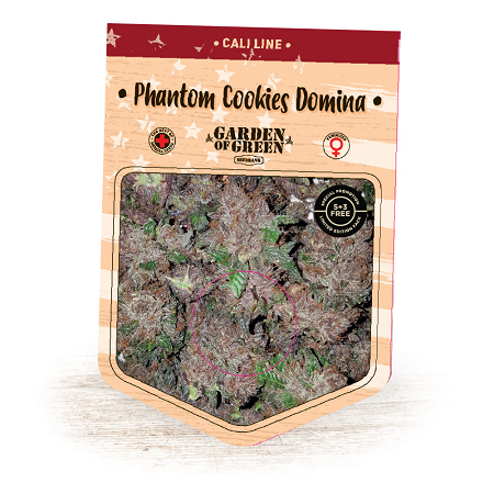 Phantom Cookies Domina - Feminized - 2024 Cannabis Seed Collection