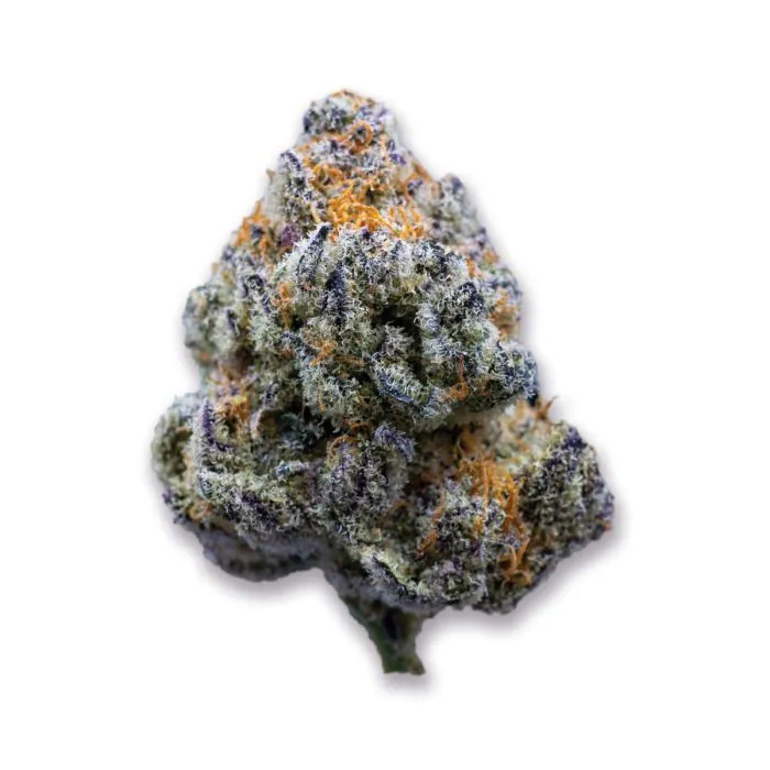 Growers Choice - Platinum Mimosa Cookies Fast Version - Feminized