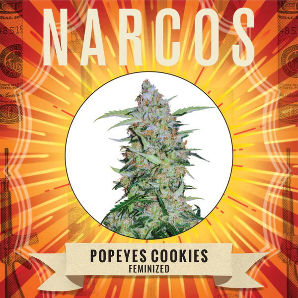 Narcos Seedbank - Popeyes Cookies Feminized