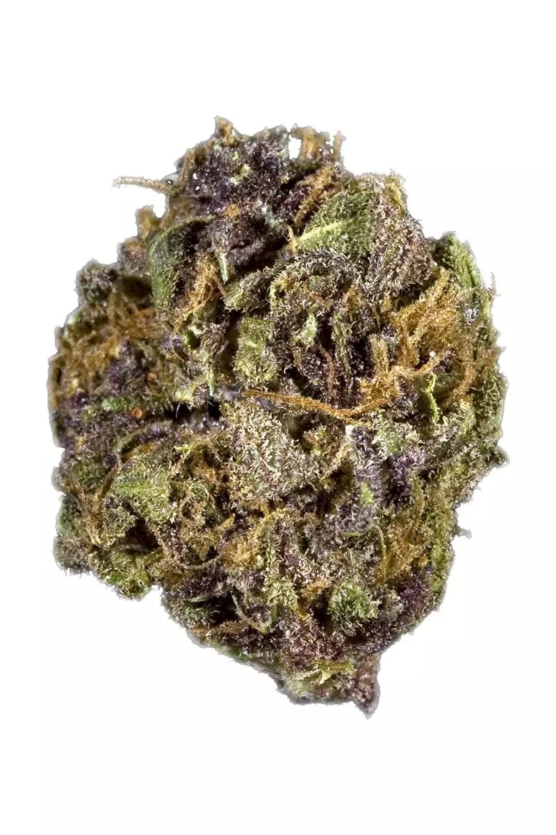 Purple Berry - Feminized - 2024 Cannabis Seed Collection 