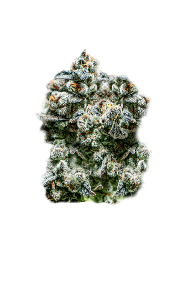 Superstrains Seeds - Runtz Auto Feminised
