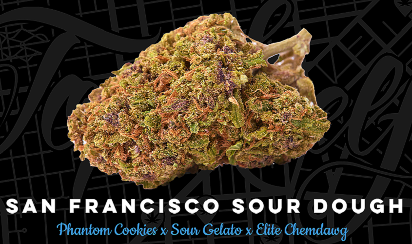 Top Shelf Elite Seeds San Francisco Sour Dough Feminized