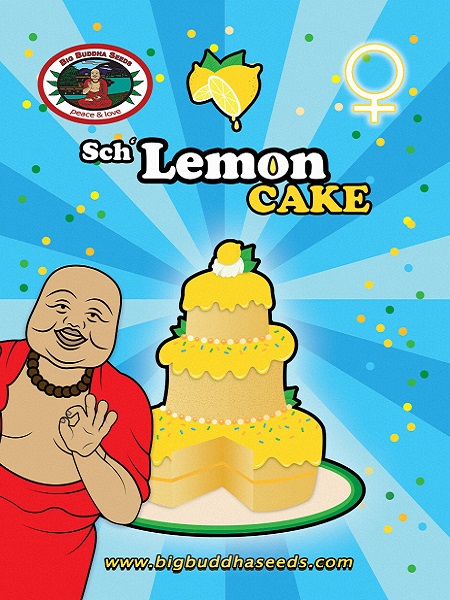 Big Buddha Seeds Sch' Lemon Cake Feminized