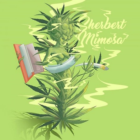 Sherbert Mimosa - Feminized - Penthouse Cannabis