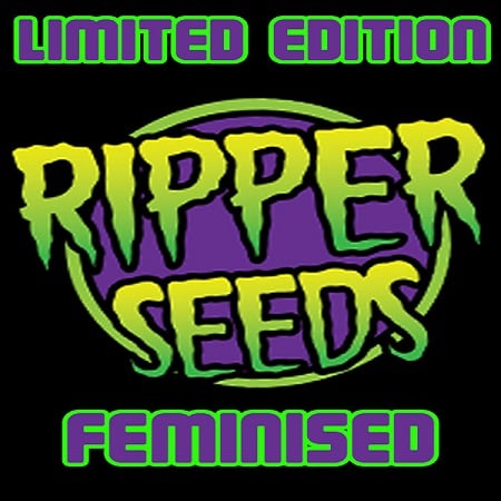 Mochi x Zombie Kush - Feminized - Ripper Seeds