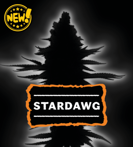 Seed Stockers Seeds Stardawg (Manny Cut) Auto Feminized