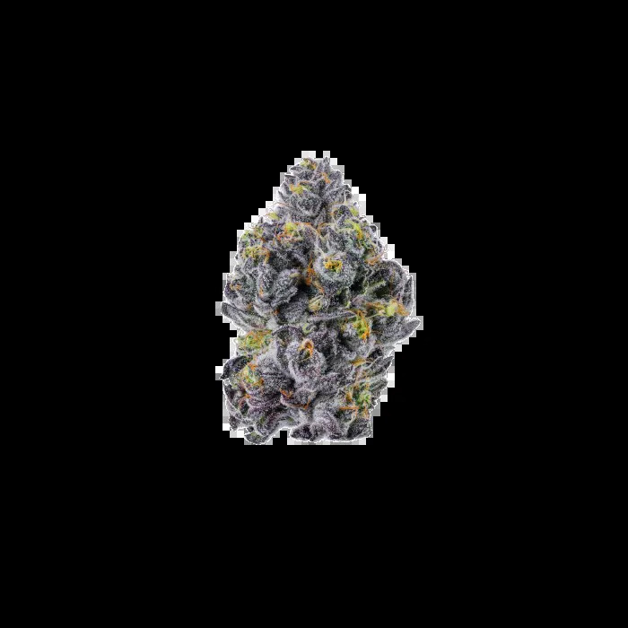 Growers Choice Seeds - Sticky Wasabi Triploid Feminized