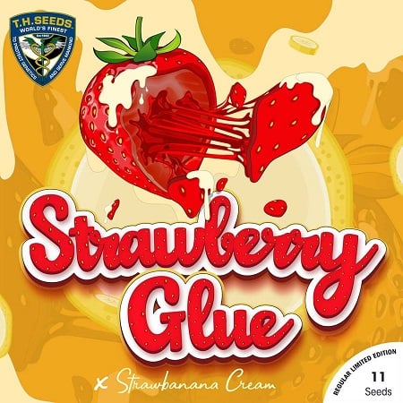 Strawberry Glue x SBC - Regular - T.H.Seeds
