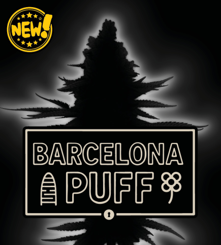 Seed Stockers Seeds - Superior Barcelona Puff Auto Feminized