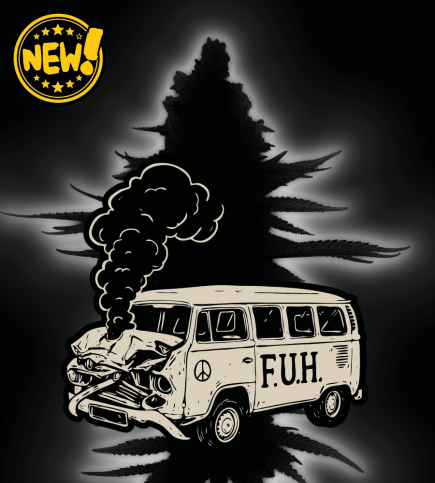 Seed Stockers - Superior F.U.H (Fucked Up Hippy) Feminized