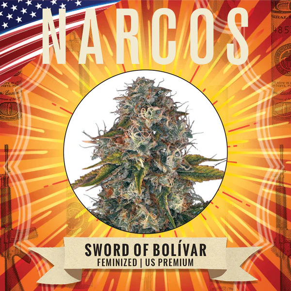 Narcos Seedbank - Sword of Bolivar Feminized Narcos Seedbank - Sword of Bolivar Feminized
