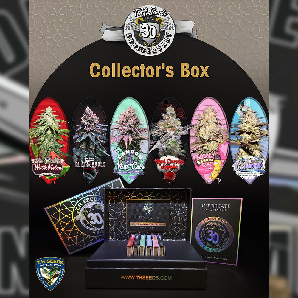 T.H.Seeds 30th Anniversary Box T.H.Seeds 30th Anniversary Box