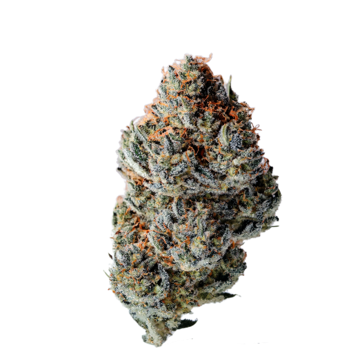 Growers Choice  - Toad Venom Auto - Feminized