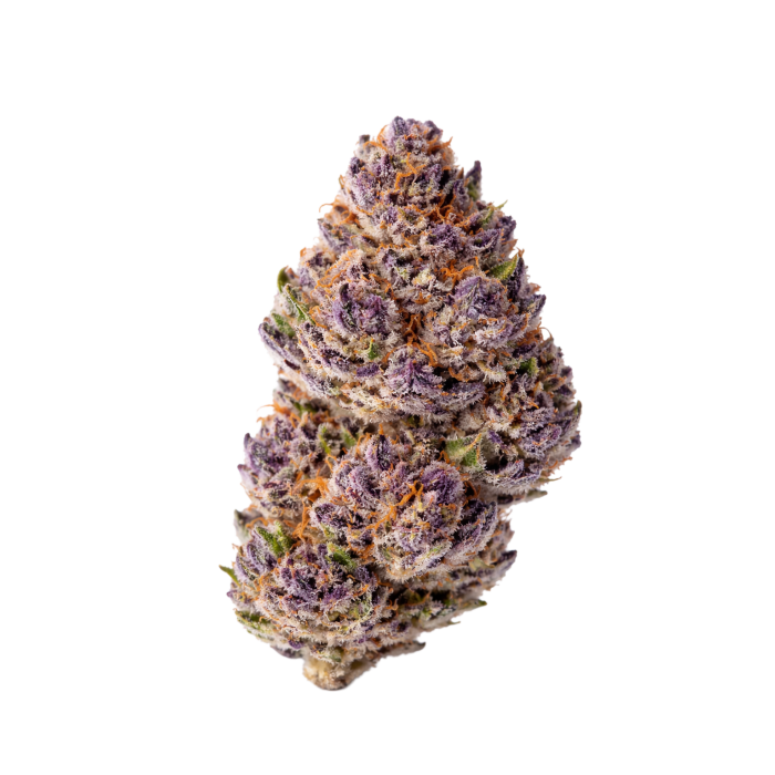 Growers Choice  - Unicorn Wagyu Auto - Feminized