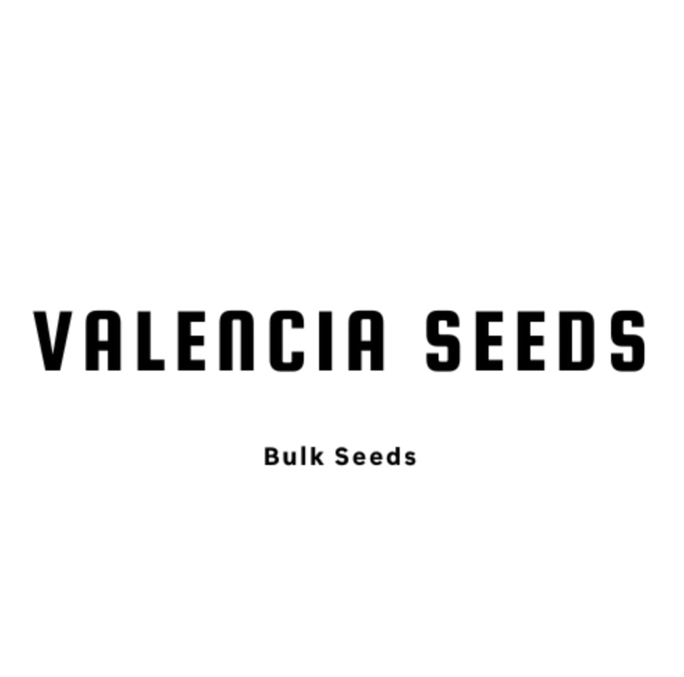 Jelly Donutz- Feminized - Valencia Seeds  