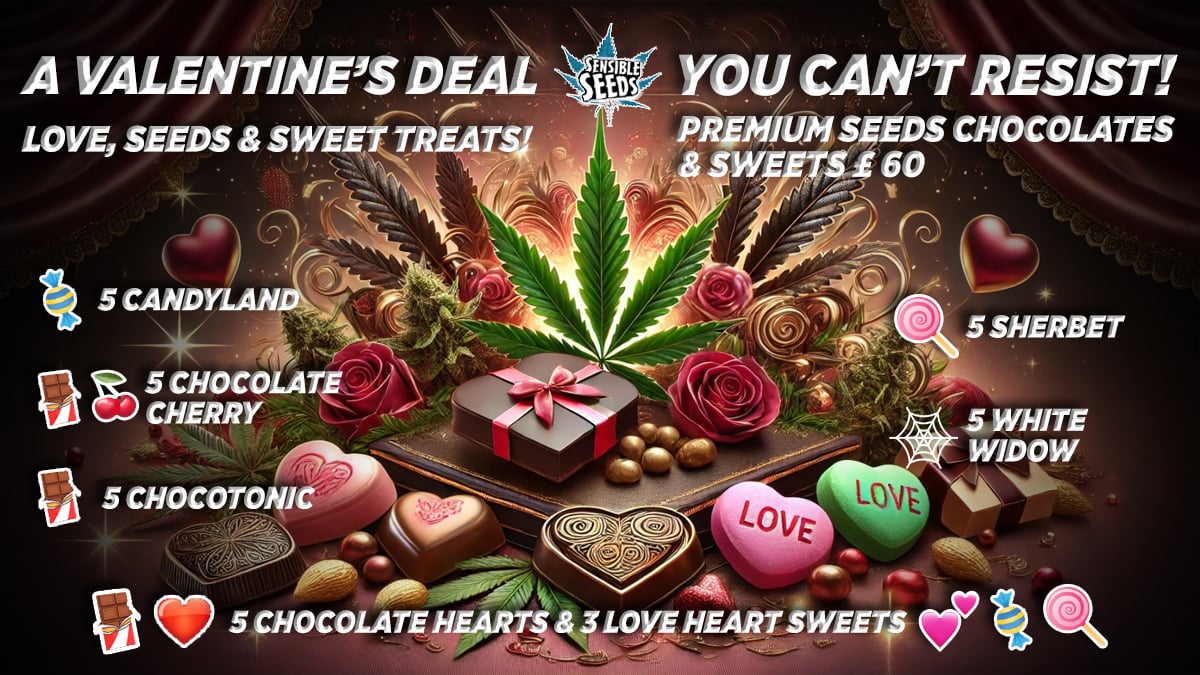2025 Cannabis Seed Collection - VALENTINE'S DEAL 2025 Cannabis Seed Collection - VALENTINE'S DEAL