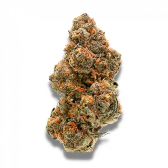 Weddingcake x Frosty Gelato Double XL Auto - Feminized - Growers Choice