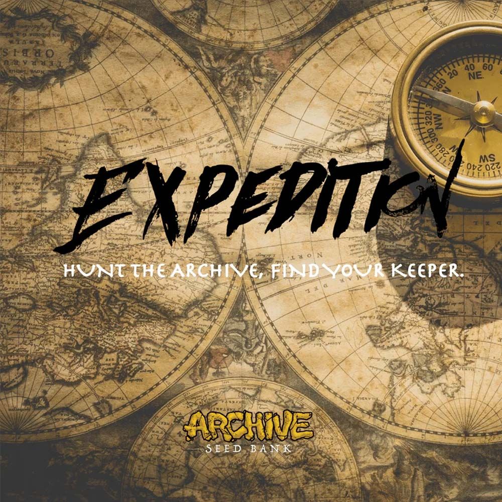 Archive Seedbank - Wifi #43 x Dosidos Feminized