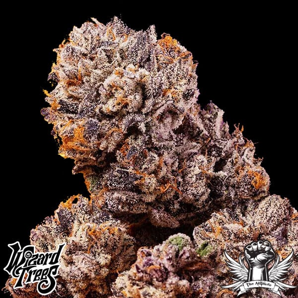 Wizard Trees Genetics Big Z - Feminized