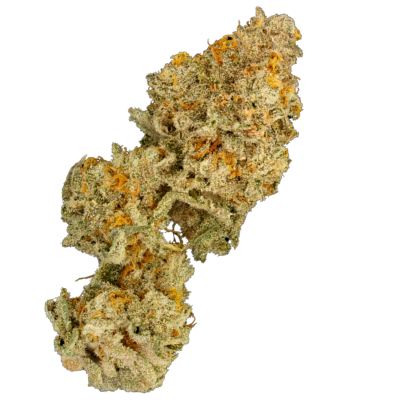 Terp Farmz - Zinger Cake - Feminised