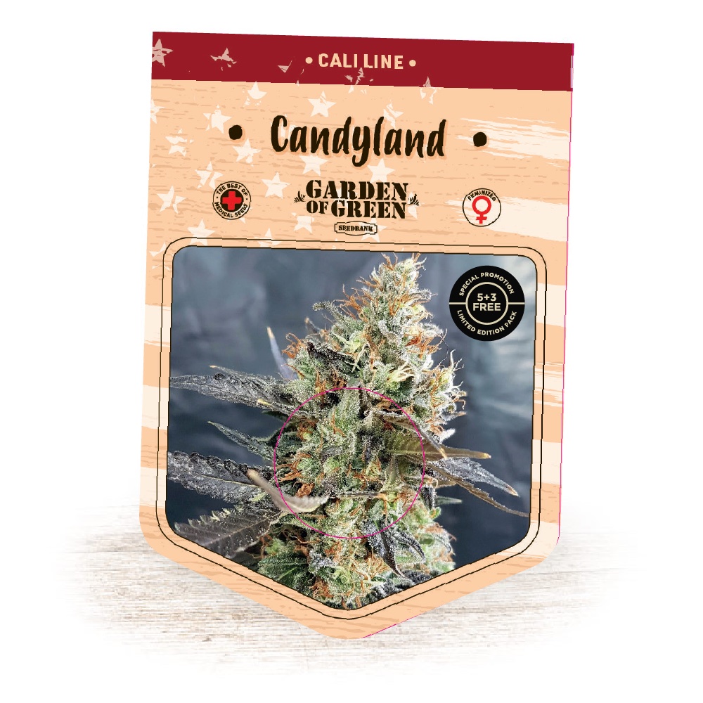 Garden of Green Seeds CandyLand Feminized Garden of Green Seeds CandyLand Feminized