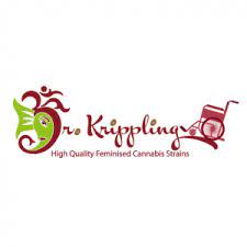 Dr Krippling Seeds Q'Orange CBD Auto Feminized Dr Krippling Seeds Q'Orange CBD Auto Feminized