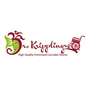 Dr Krippling Seeds Banana Rapids Feminised 
