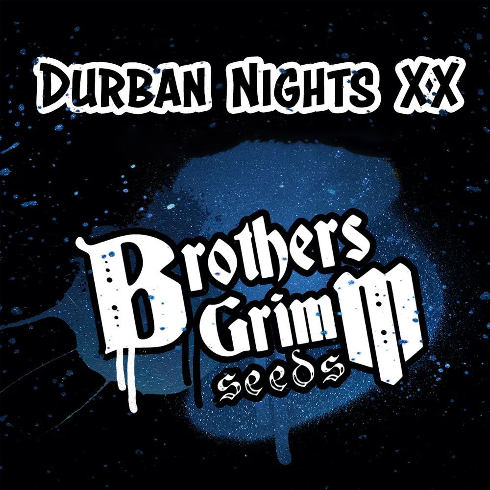 Brothers Grimm Seeds Durban Nights XX Feminized 