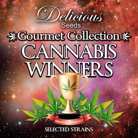 Delicious Seeds Cannabis Winners Mix #1 Feminized