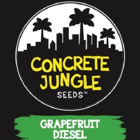 Concrete Jungle Seeds Grapefruit Diesel Feminized