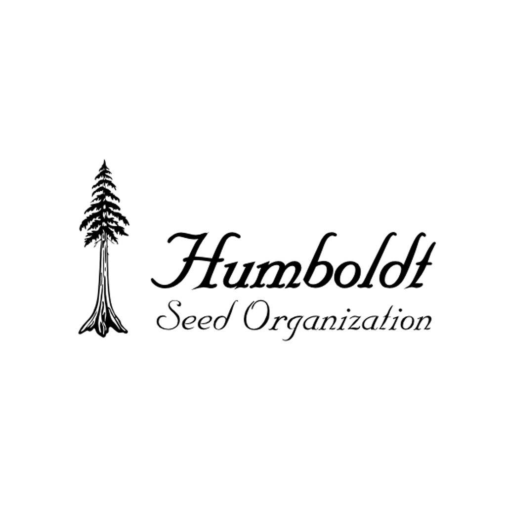 Humboldt Seed Organisation LIMITED EDITION Geist OG Fast Feminized   
