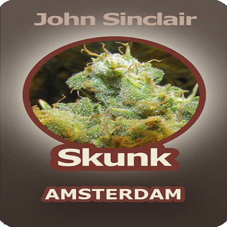 John Sinclair Seeds Skunk Amsterdam Regular