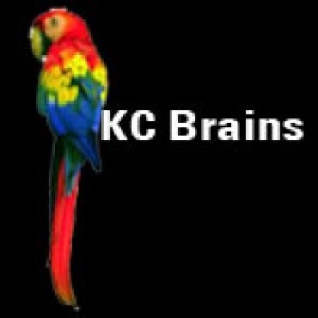KC Brains Seeds White KC Regular