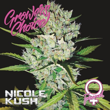 Nicole Kush - Feminized - Growers Choice