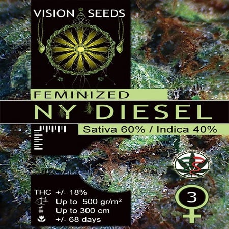 Vision Seeds NY Diesel Feminised