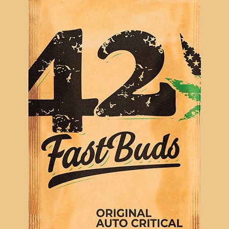 Original Auto Critical - Feminized - Fast Buds