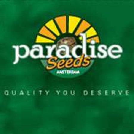Paradise Seeds Auto Collection Pack #1
