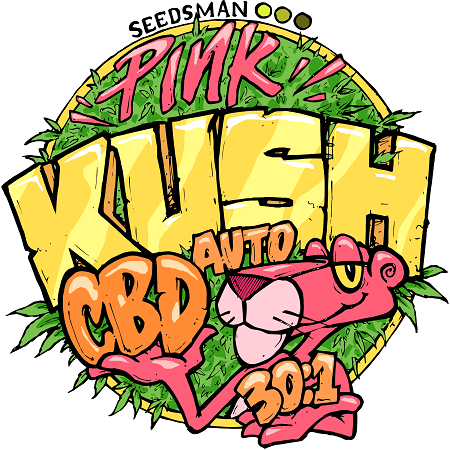 Pink Kush CBD Auto – Feminized – Seedsman