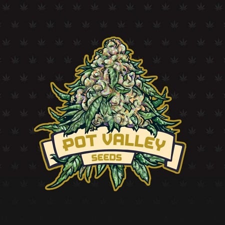 Icing on the Cake - Regular - Pot Valley Seeds