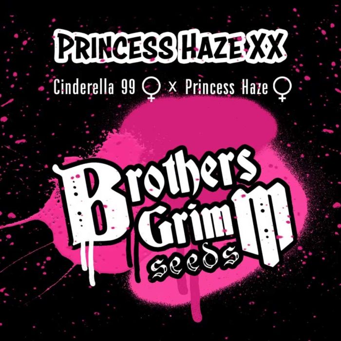 Brothers Grimm Seeds Princess Haze XX Feminized   