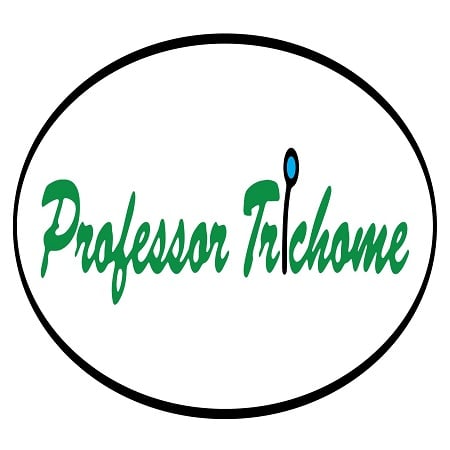 Platinum Cookies - Feminized - Professor Trichome