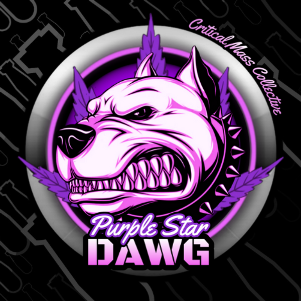 Purple Star Dawg - Feminized - Critical Mass Collective 