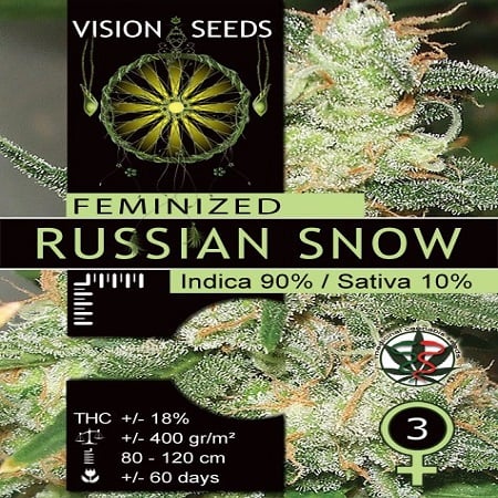 Vision Seeds Russian Snow Feminised