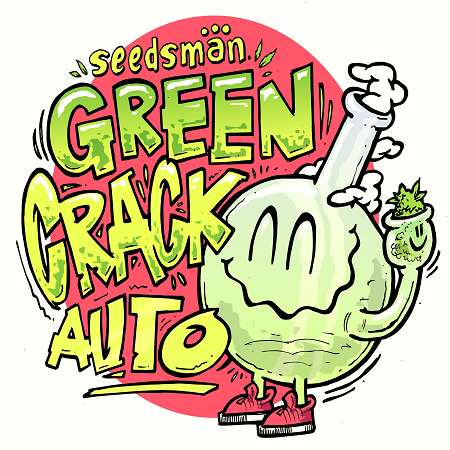 Green Crack Auto - Feminized - Seedsman