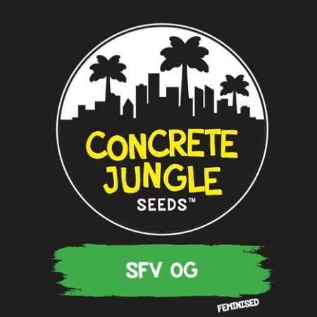 Concrete Jungle Seeds SFV O.G. Feminized