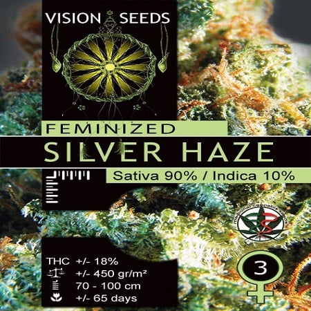 Vision Seeds Silver Haze Feminized